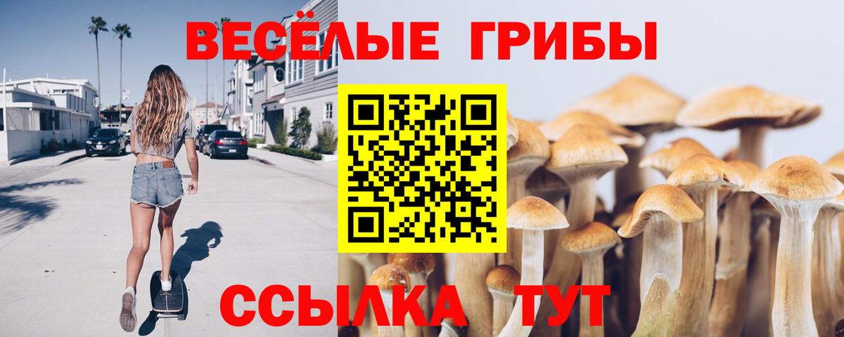 Псилоцибиновые грибы MAGIC MUSHROOMS Кстово